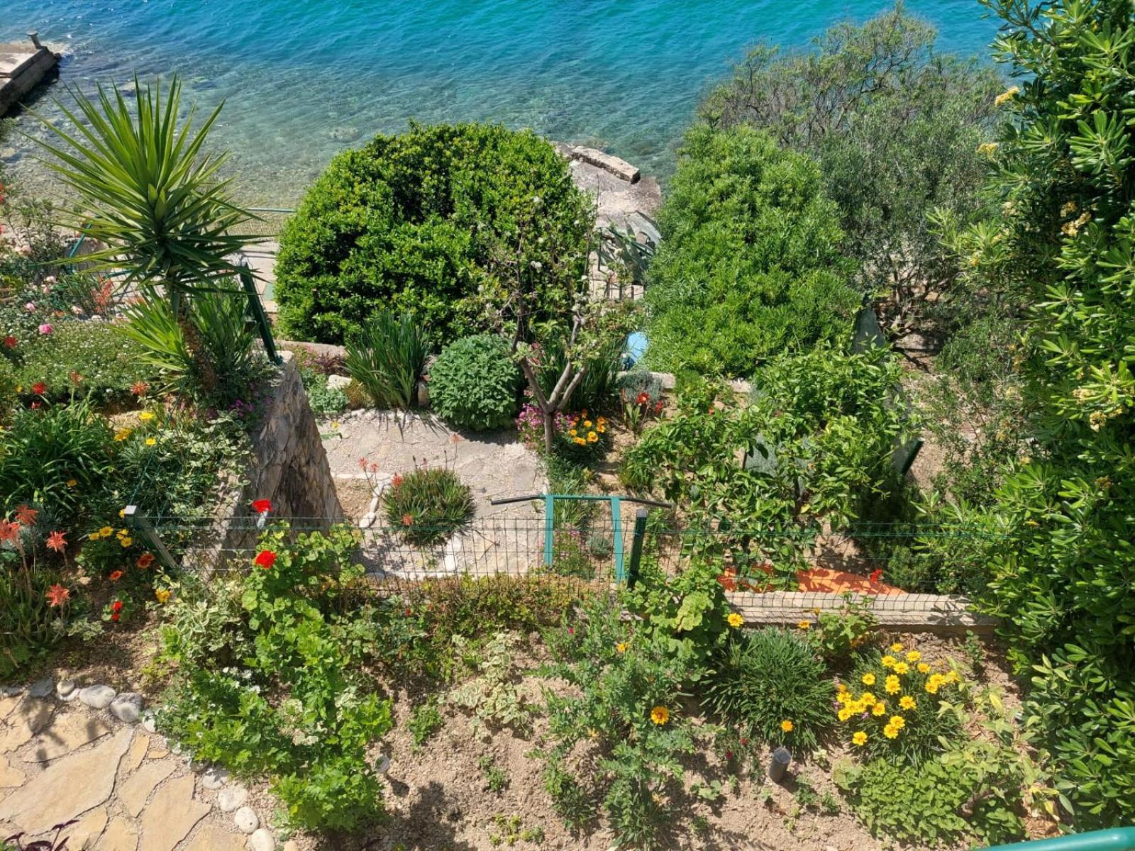 Apartment Toncica Omiš Esterno foto