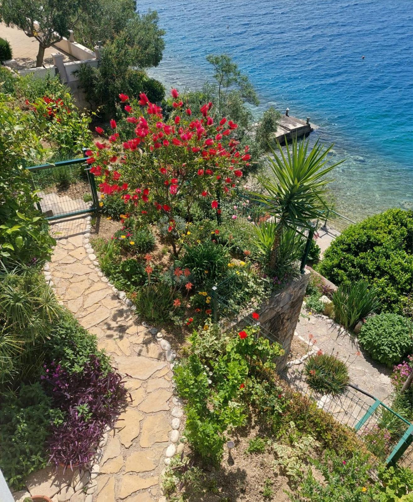 Apartment Toncica Omiš Esterno foto